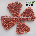 2015 Jilin Origin Four Red Skin Peanut Kernels